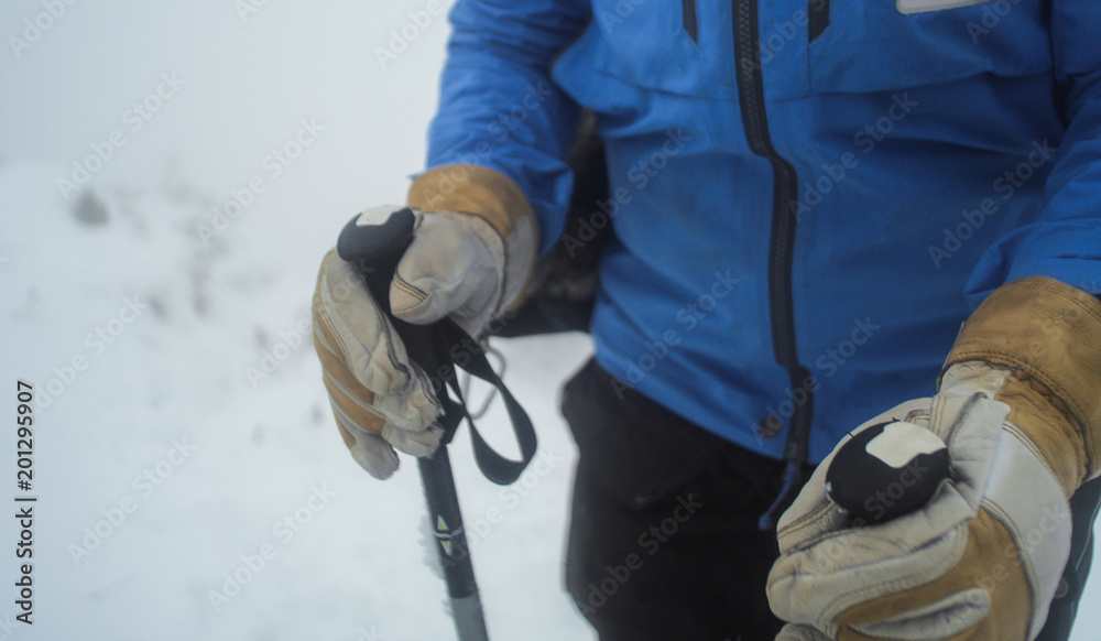 closeup of a hiker wearing gloves and shell jacket holding a trekkin poles, winter and snow around closeup of a hiker wearing gloves and shell jacket holding a trekkin poles, winter and snow around
