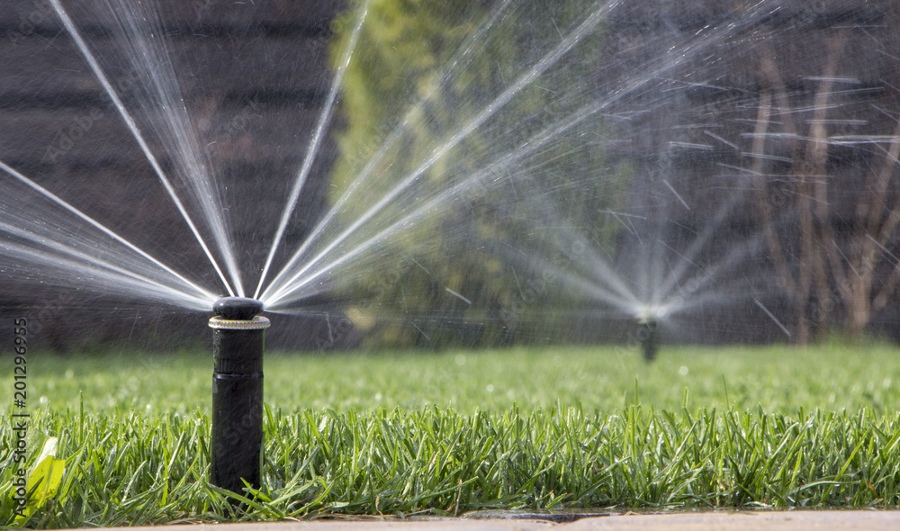 automatic sprinkler system watering the lawn on a background of green grass - obrazy, fototapety, plakaty 