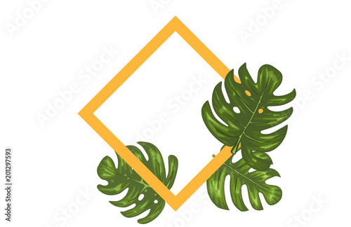 3 Green Monstera Tropical Leaves Yellow Rhombus Frame Design  photo