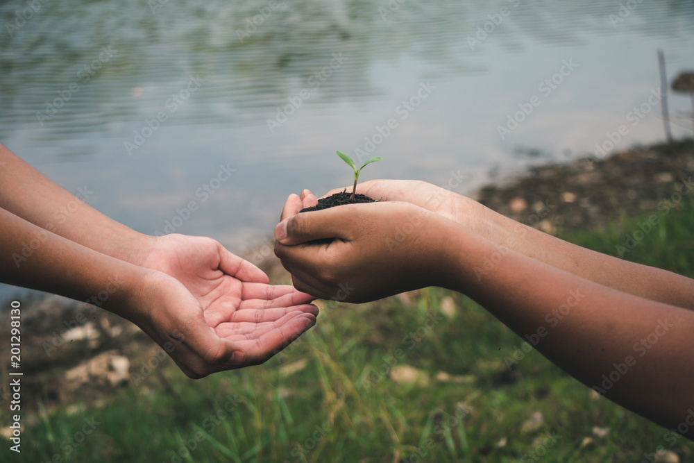 Hand for Planting trees back to the forest, Creating awareness for love wild, Wild plant concept. Hand for Planting trees back to the forest, Creating awareness for love wild, Wild plant concept.