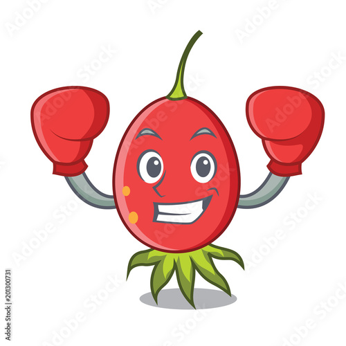 Boxing rosehip character cartoon style