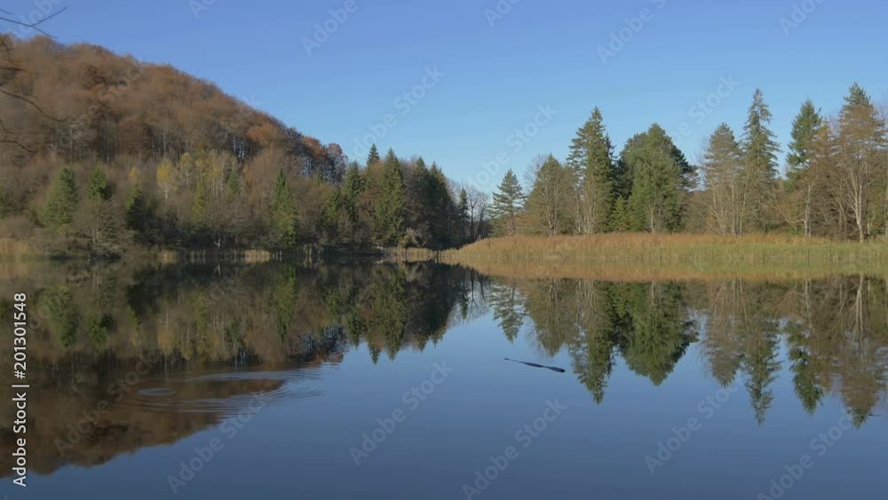 Scenery of a forest lake in Plitvice National Park Scenery of a forest lake in Plitvice National Park