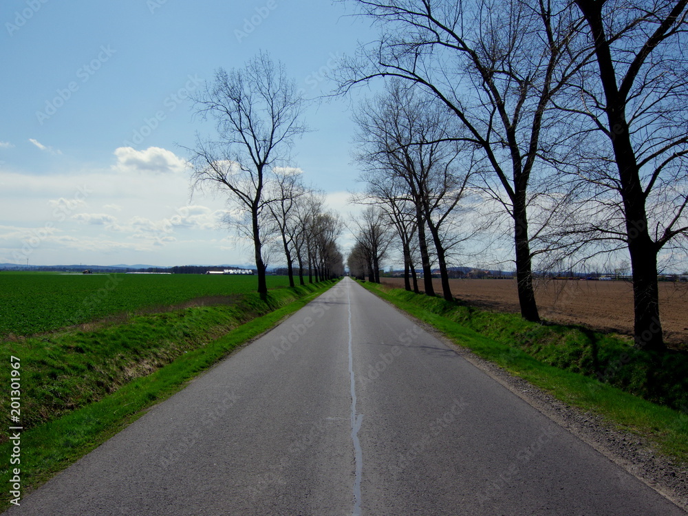 Polska wiejska, asfaltowa droga wiodąca do wsi, poprzez obsiane pola wczesną wiosną - obrazy, fototapety, plakaty 
