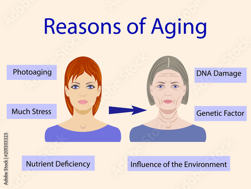 Causes of aging, vector illustration with two faces isolated