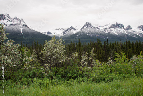 Beautiful Rocky Mountain landscape in Alberta Canada