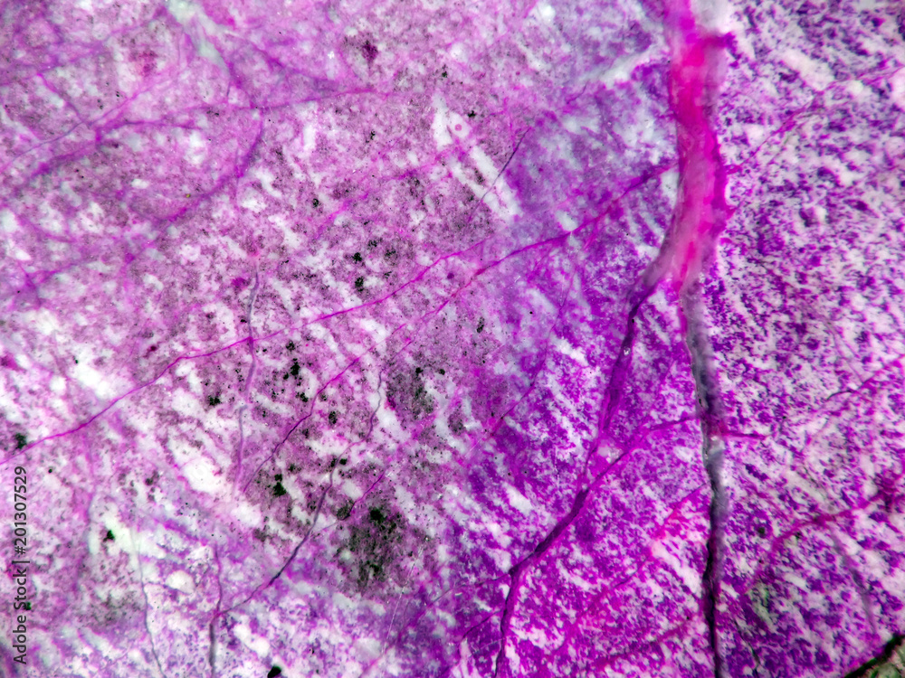 Naklejka premium purple crack root marble granite stone luxury interior floor