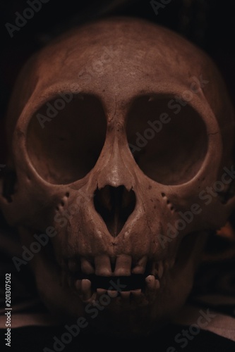 Altar with skull, statue and candles