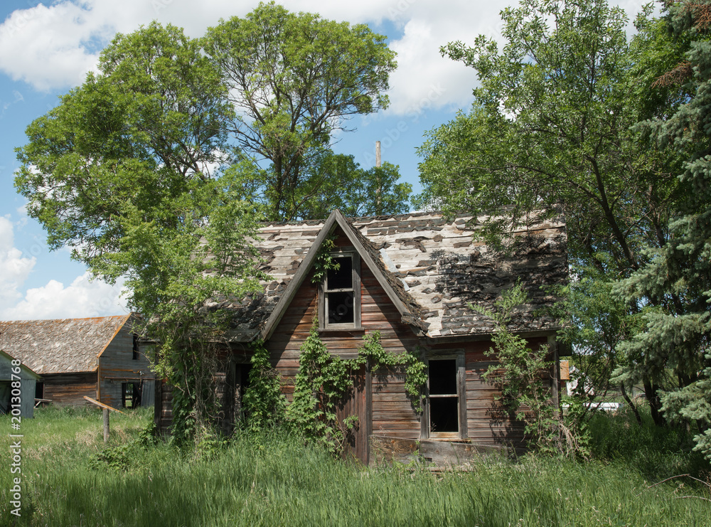 Abandoned farm house overgrown with ivy