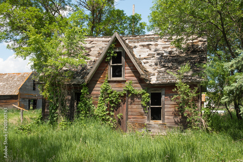 Abandoned farm house overgrown with ivy