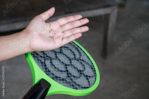 Shot of dead mosquito.