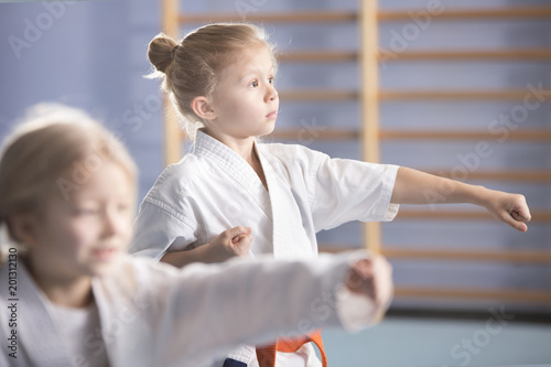 Girl on karate class
