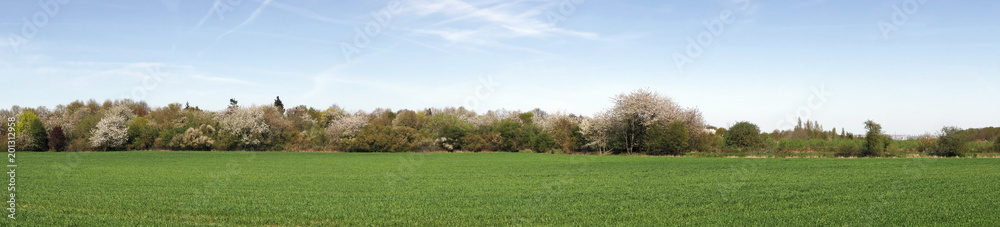 The plateau de Saclay in Île de Frances The plateau de Saclay in Île de Frances