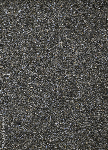 A uniform background of Nyjer seed from Ethiopia, a bird food desireable to finches, siskins and juncos. photo