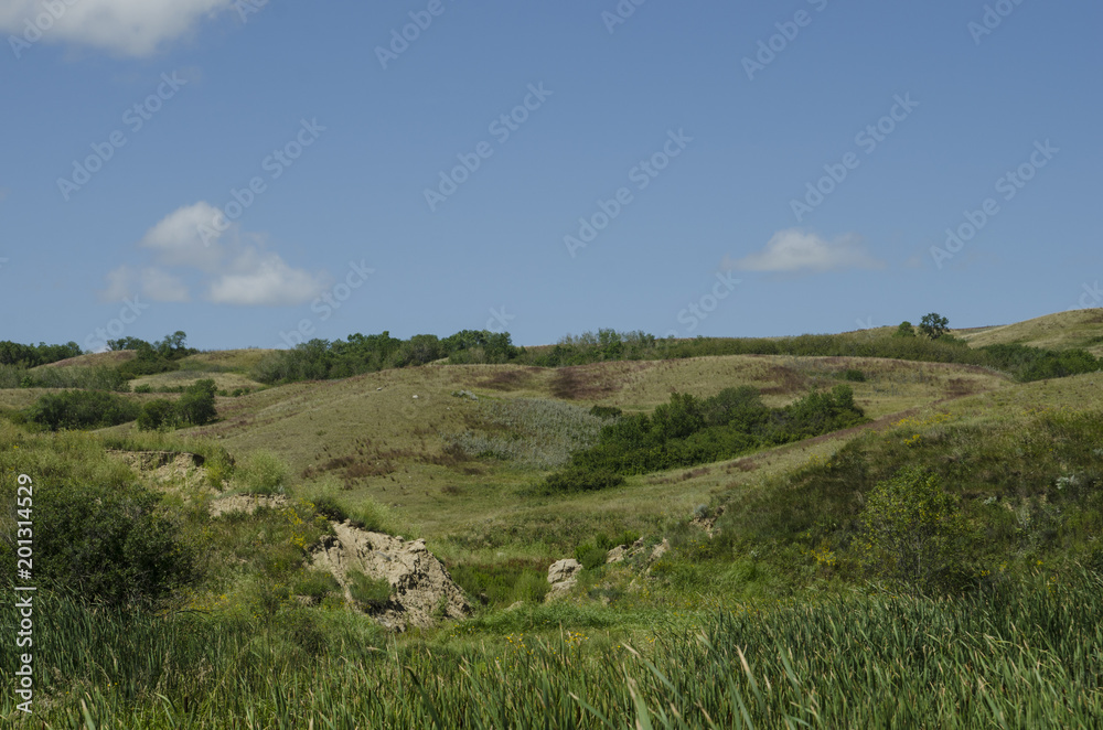 A peaceful valley scene with rolling hills and green foilage