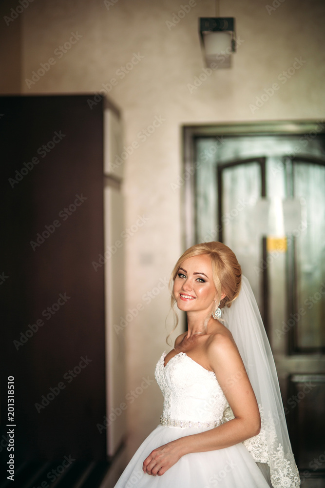Fototapeta premium Portrait of a bride in a wedding dress. The bride dresses in the hotel