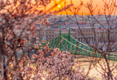 Photography Budapest, Hungary - Beautiful Liberty Bridge at sunrise with cherry blossom and morning sun