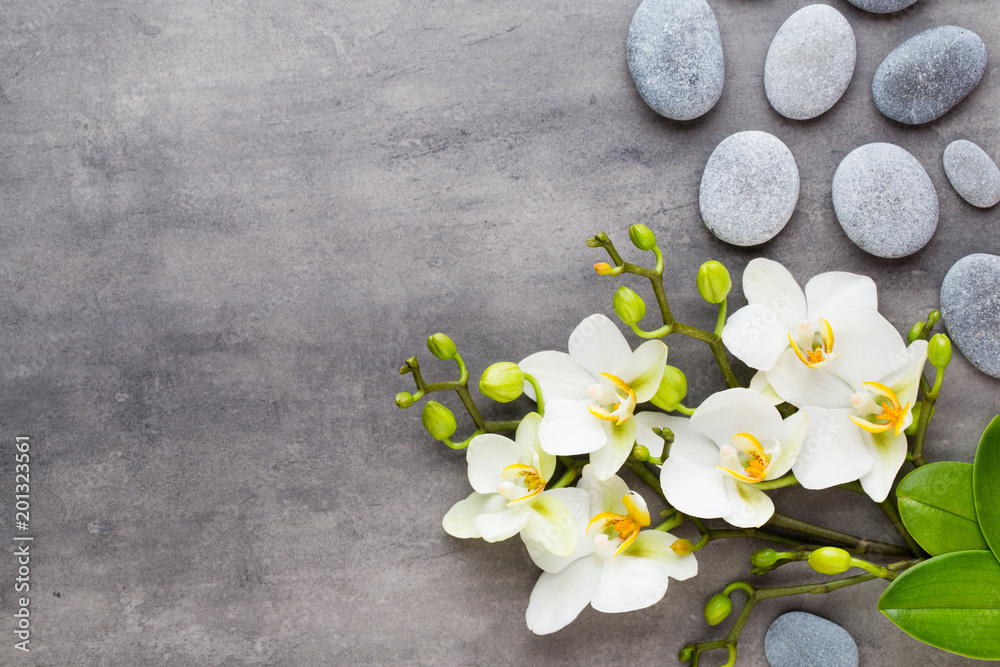 Beauty orchid on a gray background. Spa scene. Beauty orchid on a gray background. Spa scene.