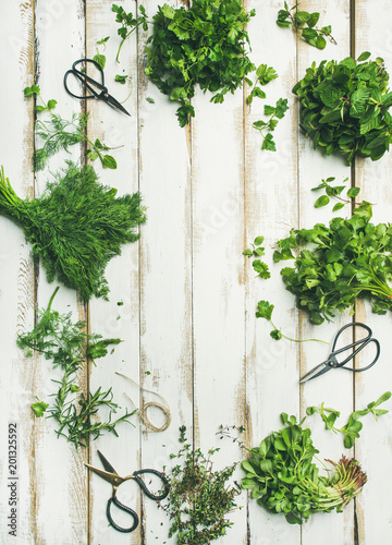 Flat-lay of bunches of various fresh green herbs. Parsley, mint, dill, cilantro, rosemary, thyme over wooden background, top view, copy space, vertical composition. Healthy vegan cooking concept