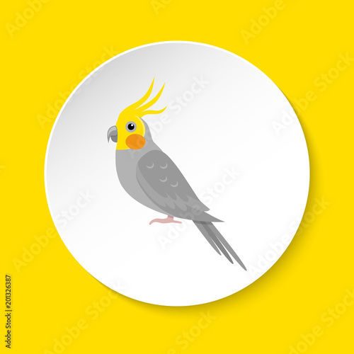 Corella parrot icon in flat style
