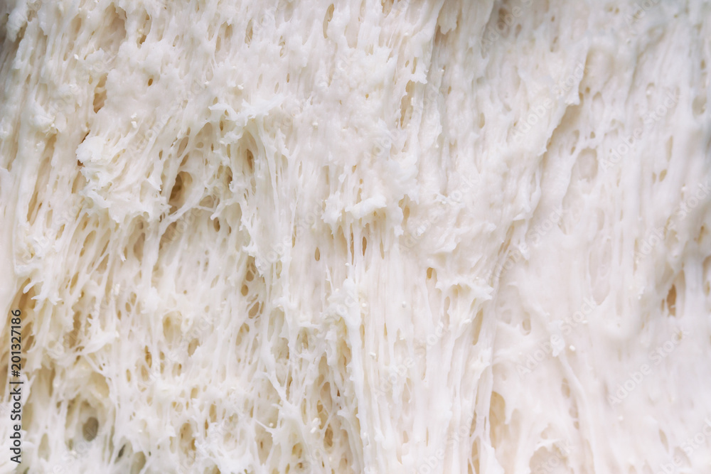 Close up view macro concept sponge dough of steamed bun or bread in proofing or proving stage,it is means to allow the bread dough to rise. Present texture for abstract background or bakery wallpaper.