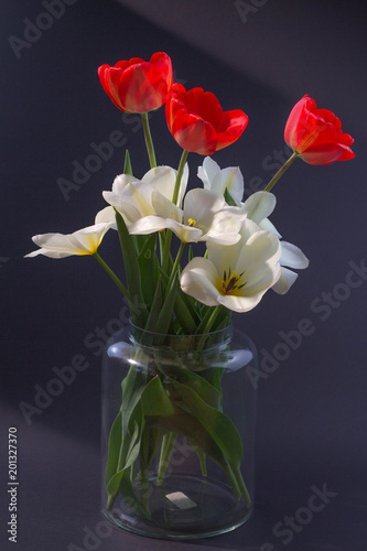 bouquet of red and white tulips in a transparent vase on a black background