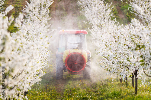 Tractor sprays insecticide in apple orchard field