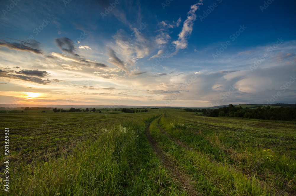 Sunset in summer, green grass and sky with clouds