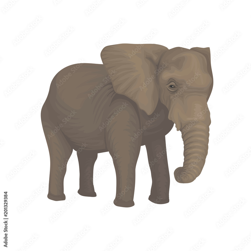 Fototapeta premium Elephant wild safari animal vector Illustration on a white background