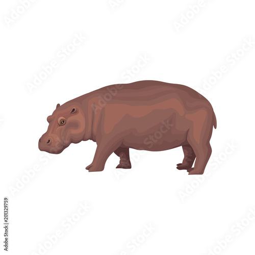 Hippo wild african animal, side view vector Illustration on a white background © Happypictures