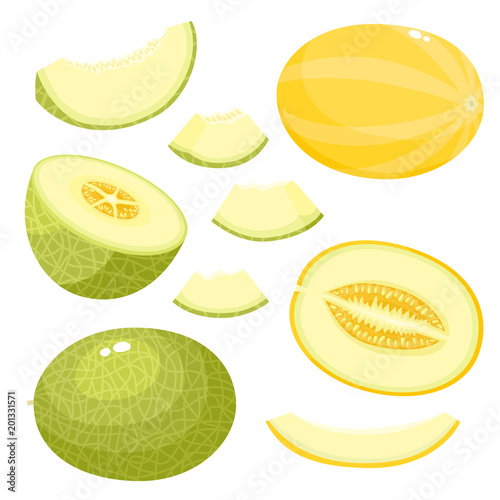 Bright vector set of juice melon isolated on white background.