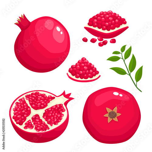 Bright vector set of colorful juice pomegranate isolated on white.