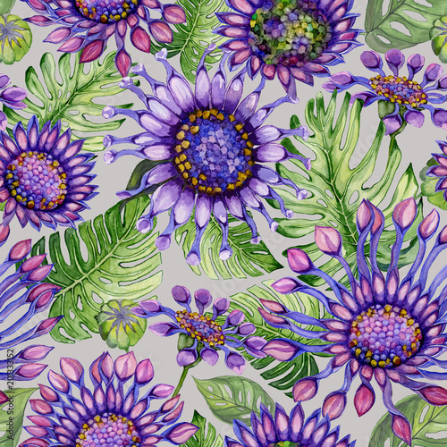 Beautiful vivid purple African daisy flowers with green monstera leaves on gray background. Seamless bright floral pattern. Watercolor painting. Hand painted illustration.