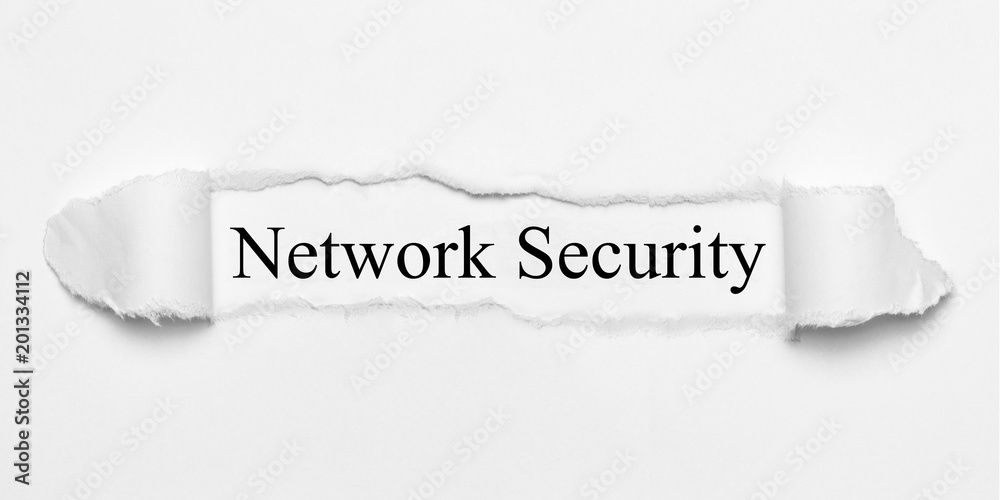 Obraz premium Network Security