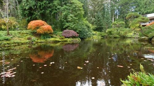 Amazing lake in the autumn park. Nature video. Park landscape. Washington park arboretum, Seattle, WA, USA. 4K, 3840*2160, high bit rate, UHD