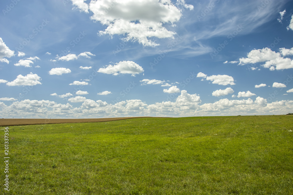 Green meadow and clouds in the sky