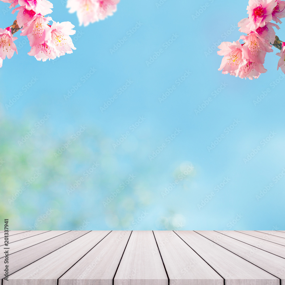 Fototapeta premium Cherry Blossom trees on backgorund. Pink Sakura flowers.