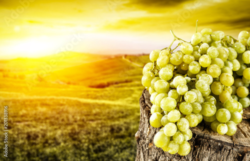 grapes fruits and tuscany landscape 