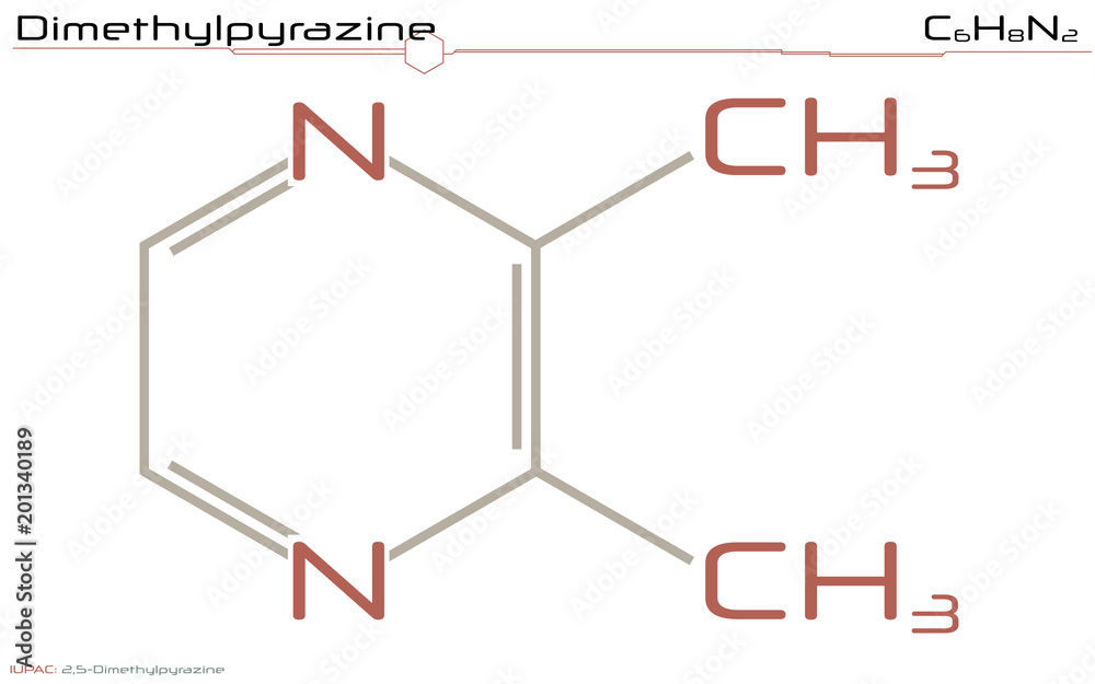 Large and detailed infographic of the molecule of Diemthylpyrazine. Large and detailed infographic of the molecule of Diemthylpyrazine.