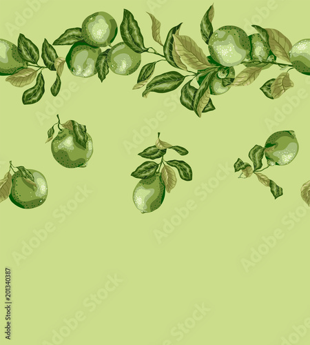 Seamless pattern with lemon and lime branches. Vintage graphic in olive green colors with line of tree branch and fruits