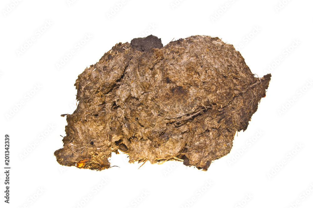 Fototapeta premium cow dung isolated on white background