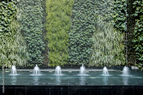 modern water fountain with green living plant wall