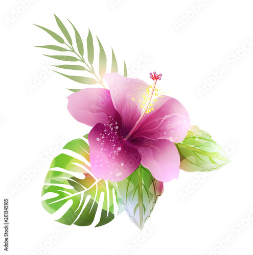 Tropical plants with hibiscus.