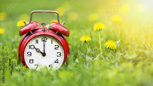 Summertime concept - web banner of alarm clock and dandelion flowers