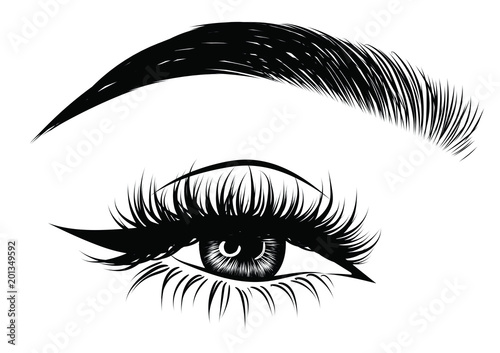 Illustration of woman's sexy luxurious eye with perfectly shaped eyebrows and full lashes. Hand-drawn Idea for business visit card, typography vector. Perfect salon look.