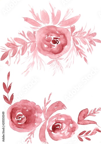 Watercolor red rose flowers...