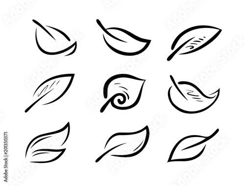 Set of stylized leaves. Nature, ecology logo or icon. Vector illustration
