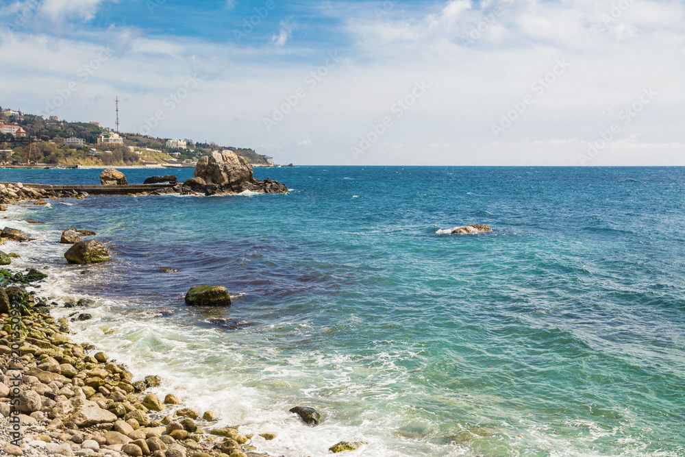 Seascape with surf and rock