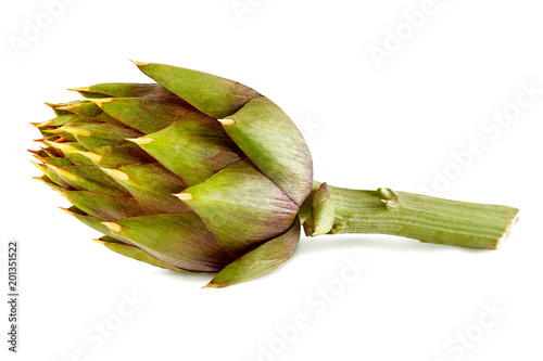 Fresh artichoke with thorns isolated on white background