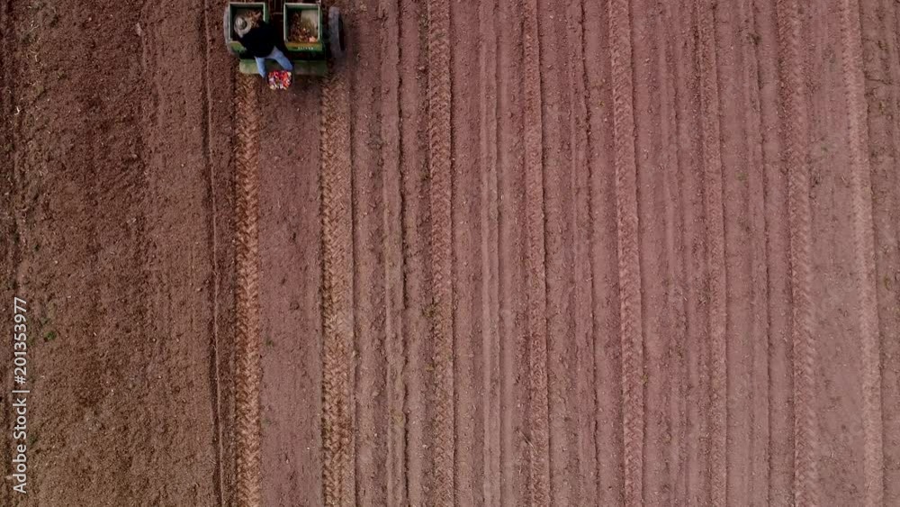 Aerial view looking straight down of tractor pulling potato planter. Aerial view looking straight down of tractor pulling potato planter.