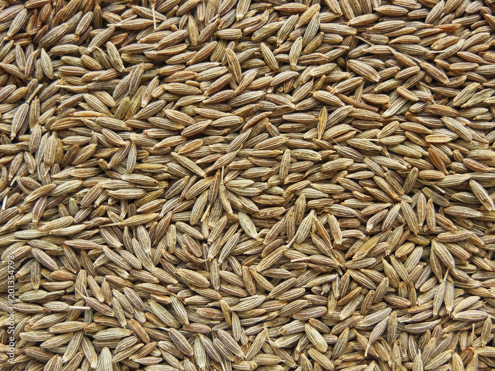 Close up macro of flat Cumin Seeds Rectangular shape heap image 
